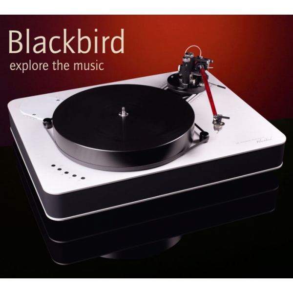 Blackbird